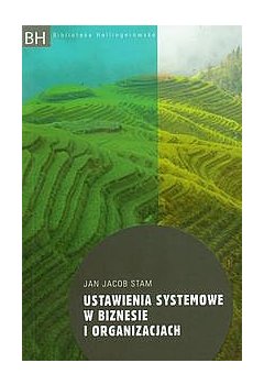 Ustawienia systemowe w biznesie i organizacjach